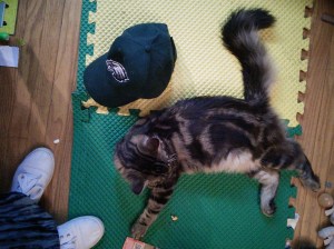 IMG_20140428_182908[1]